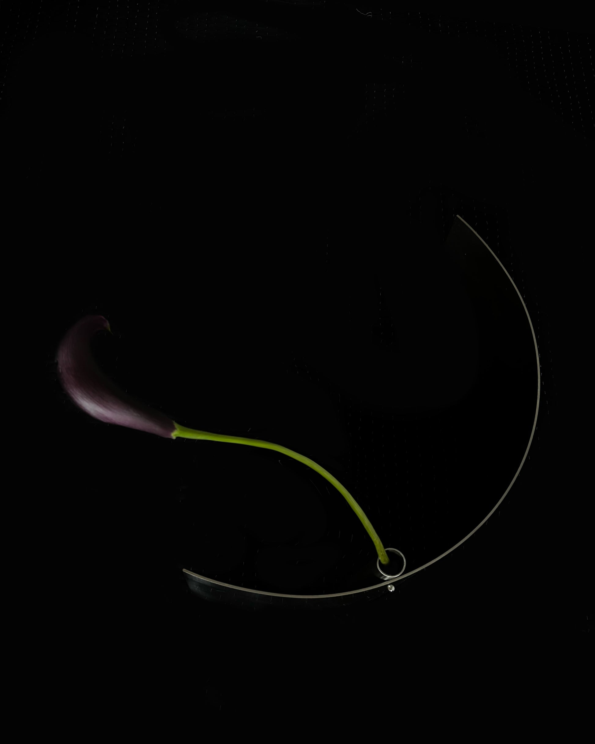 ARC ANNEX II / MODULAR VASE